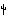 小仙人掌